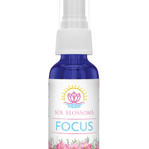 Focus - Image 1